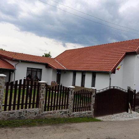 Pensiunea Narcisa Malaesti Bagian luar foto