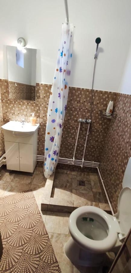 Pensiunea Narcisa Malaesti Bagian luar foto