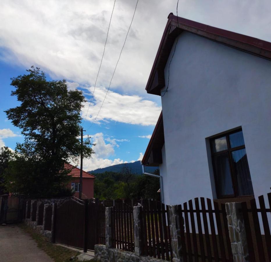 Pensiunea Narcisa Malaesti Bagian luar foto