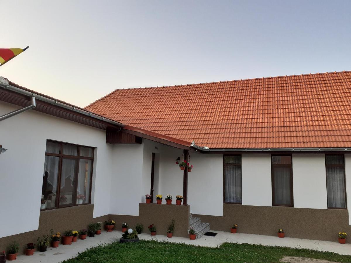 Pensiunea Narcisa Malaesti Bagian luar foto